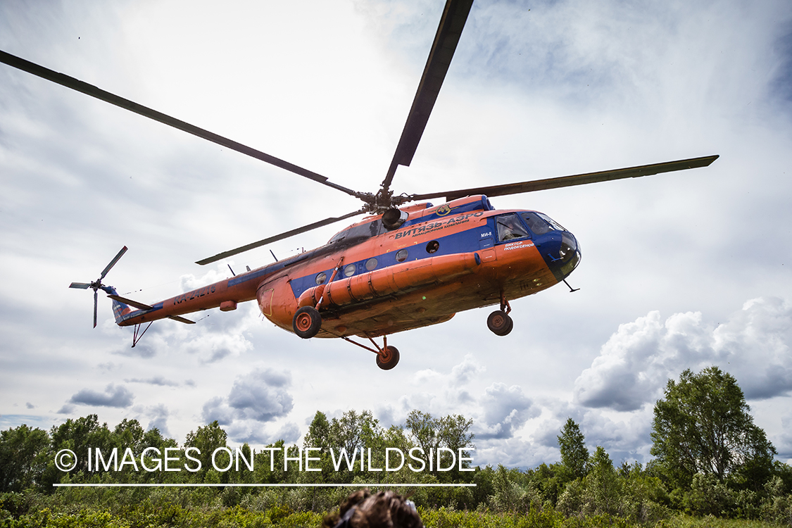 Russian helicopter flying over Kamchatka Peninsula, Russia.