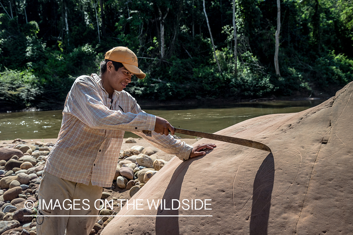 Flyfishing for Golden Dorado in Bolivia. (stone carving)