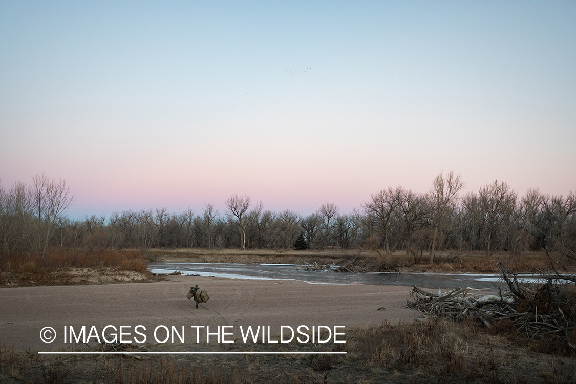 Waterfowl hunting