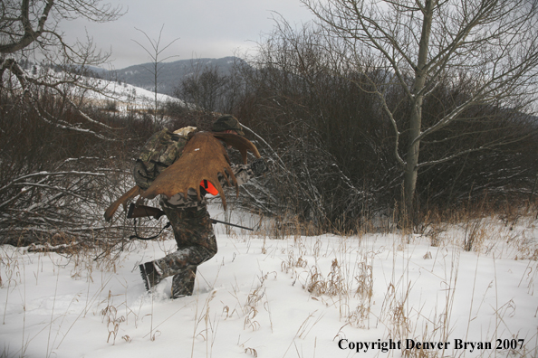 Moose hunter in field