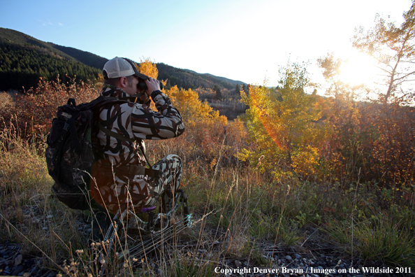 Bow hunter scouting for big game. 