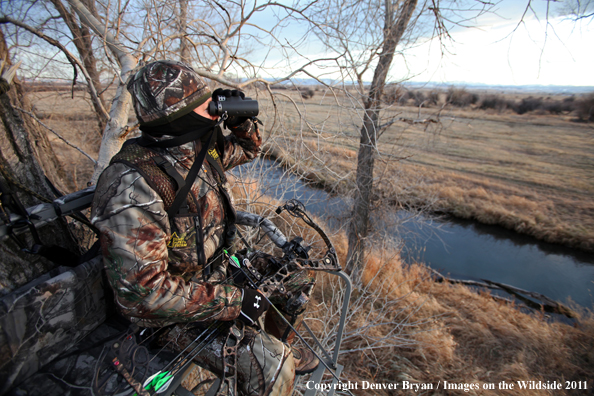 Bowhunter scouting from tree stand. 