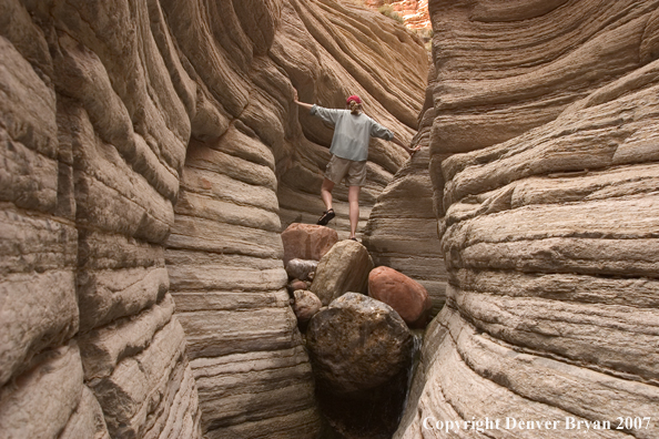 Hiker exploring feeder stream of the Colorado River.  Grand Canyon.