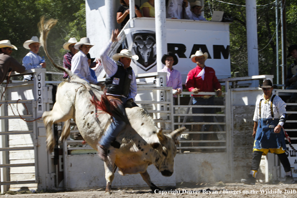 Augusta Rodeo