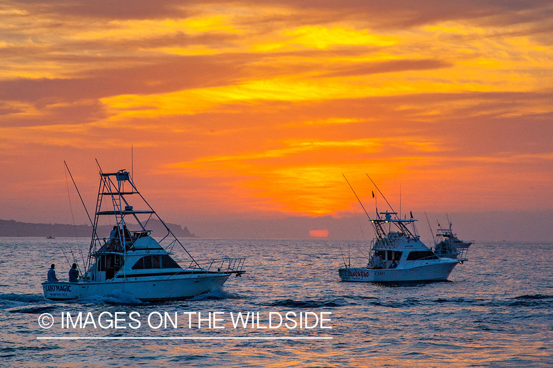 Deep sea fishing boats heading out to sea.