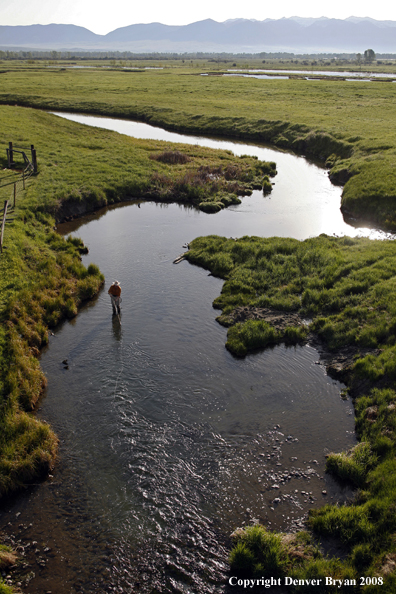 Flyfisherman fishing warm springs