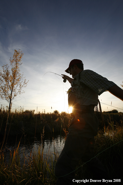 Flyfisherman in stream