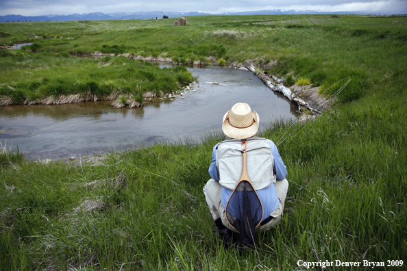 Flyfisherman 