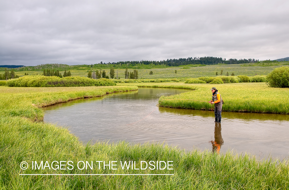 Flyfisherman on Duck Creek, MT.