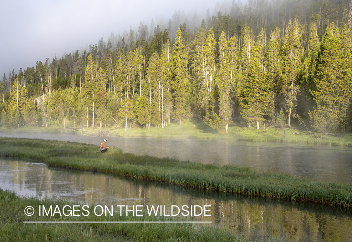 Flyfishing Firehole River, Yellowstone National Park.