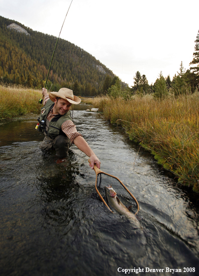 Flyfisherman Landing Rainbow Trout