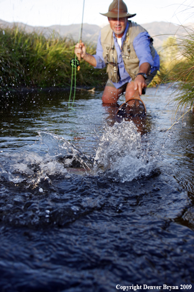 Flyfisherman landing rainbow trout