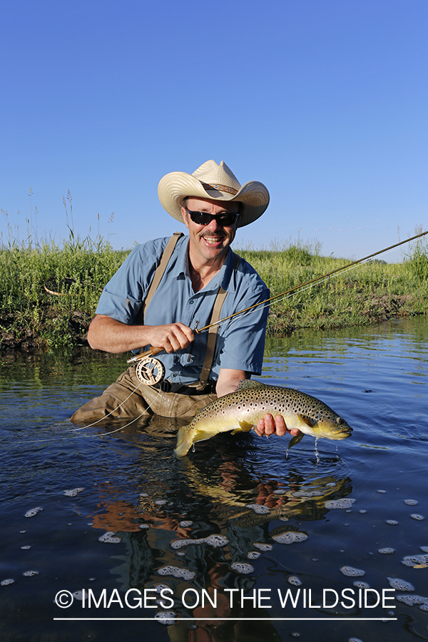 Flyfisherman with brown trout. 