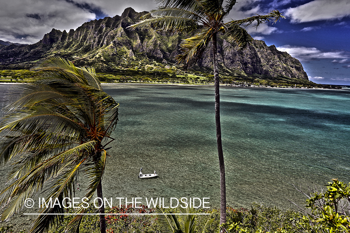 Saltwater flyfishermen fishing on flats boat, in Hawaii. (HDR)