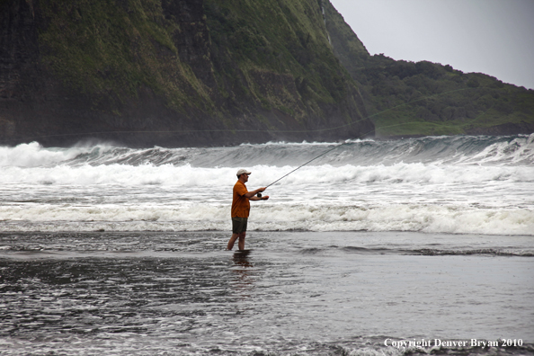 Saltwater flyfishing in Hawaii.