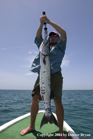 Flyfisherman w/barracuda