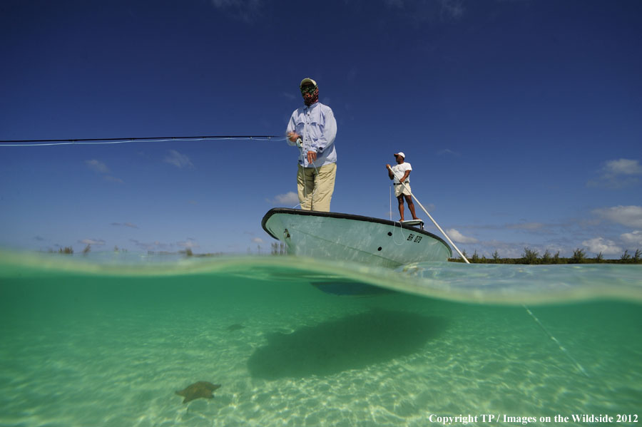 Flyfishing for bonefish and starfish in habitat.