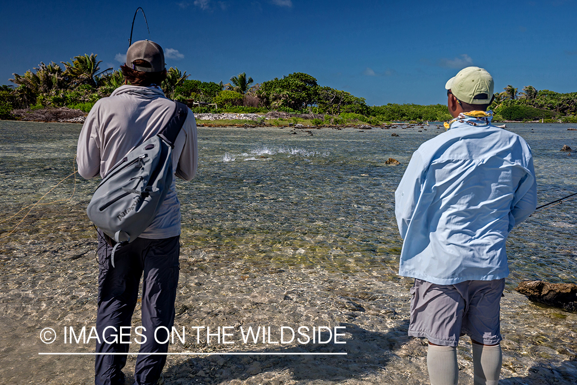 Saltwater flyfishermen fighting bonefish on flats.