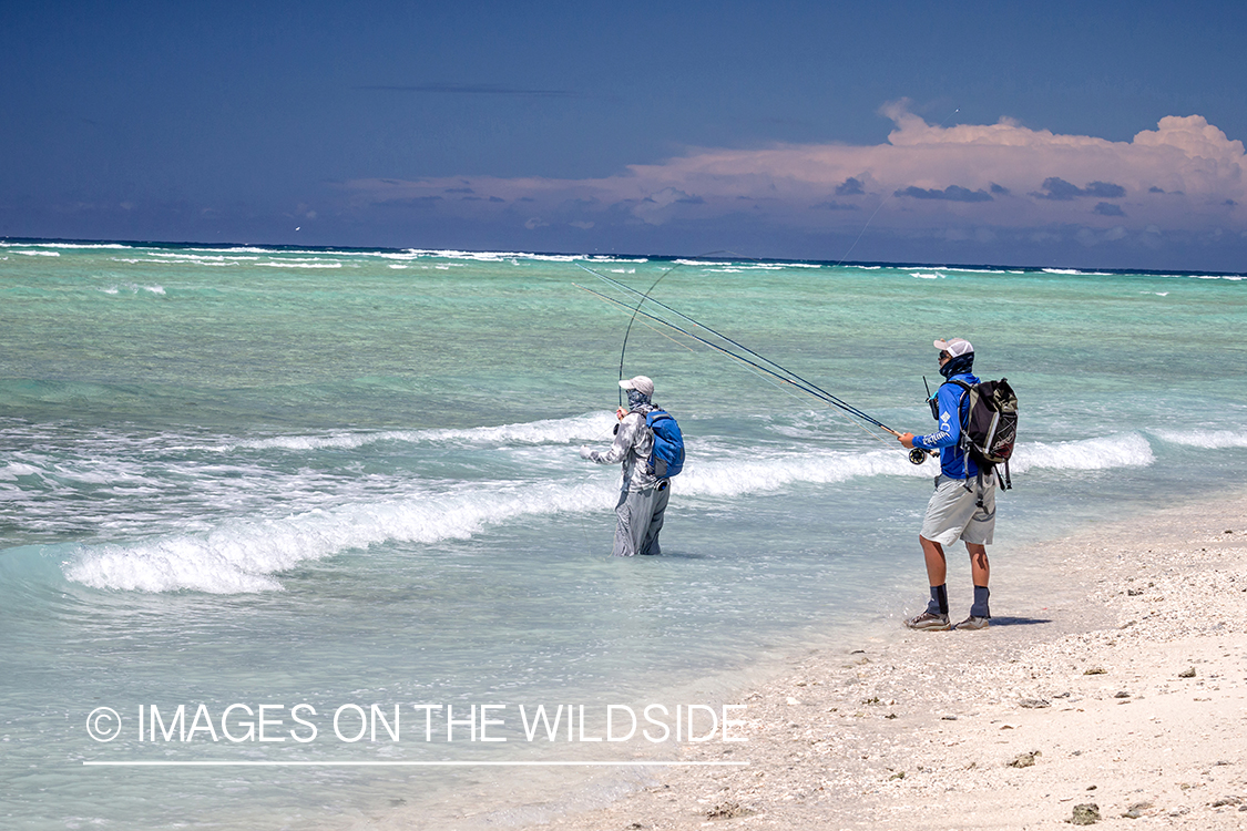 Flyfisherman on St. Brandon's Atoll flats, Indian Ocean.