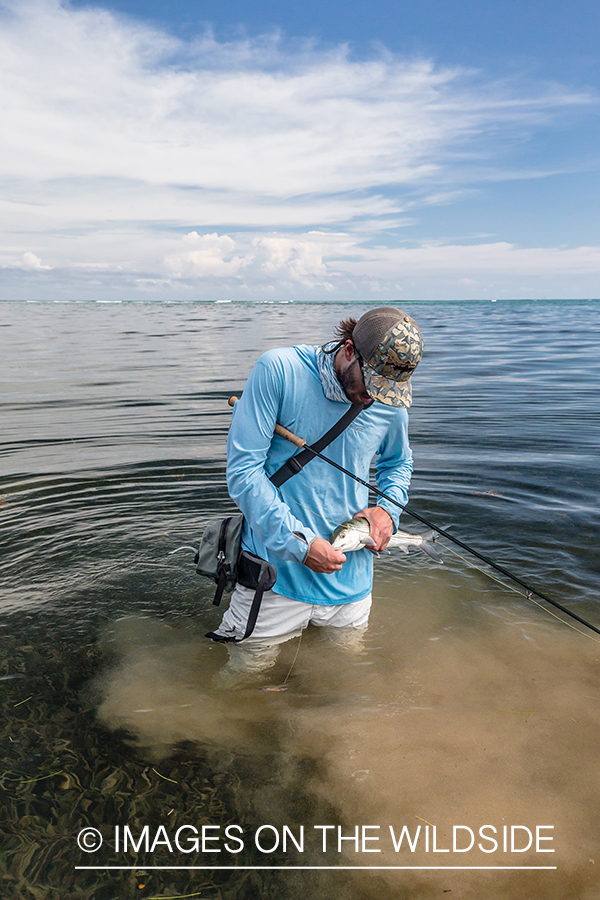 Flyfisherman releasing bonefish.