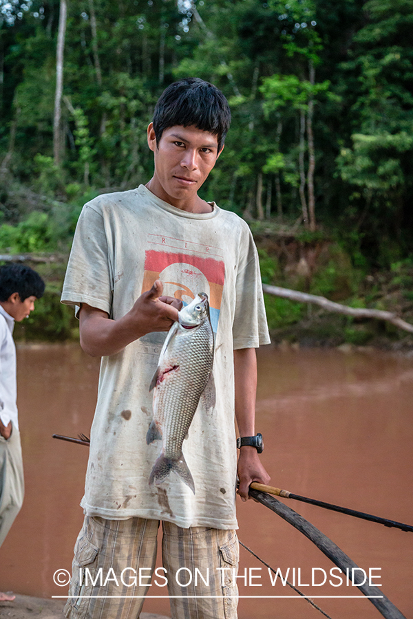 Flyfishing for Golden Dorado in Bolivia. (bow fishing)