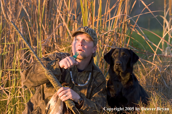 Duck hunter and Labrador Retriever looking for ducks from edge of marsh.