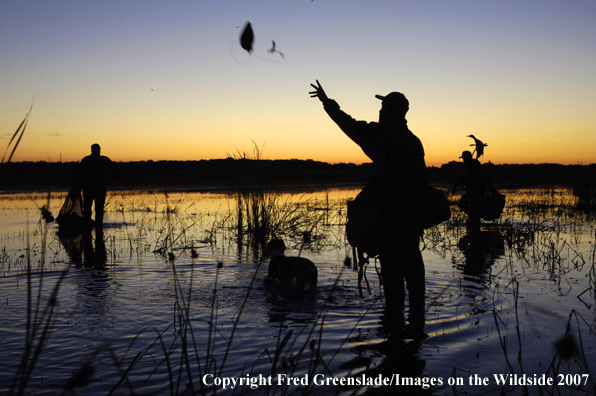 Waterfowl hunter setting decoys