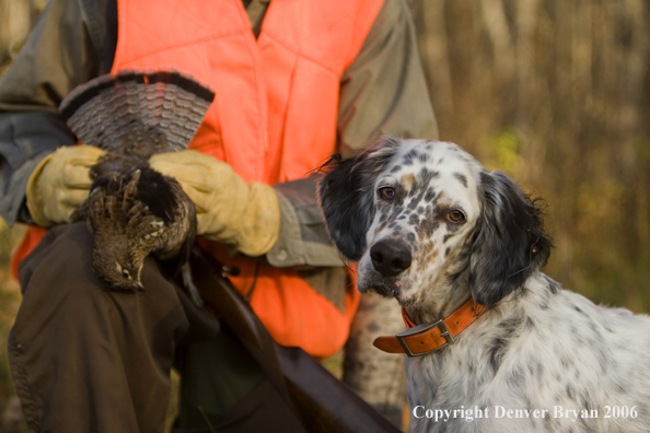 Upland bird hunter in field with dog.