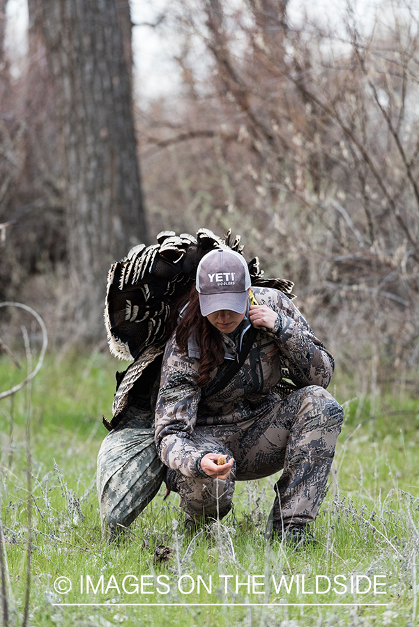 Woman hunter with bagged turkey picking morel mushroom.