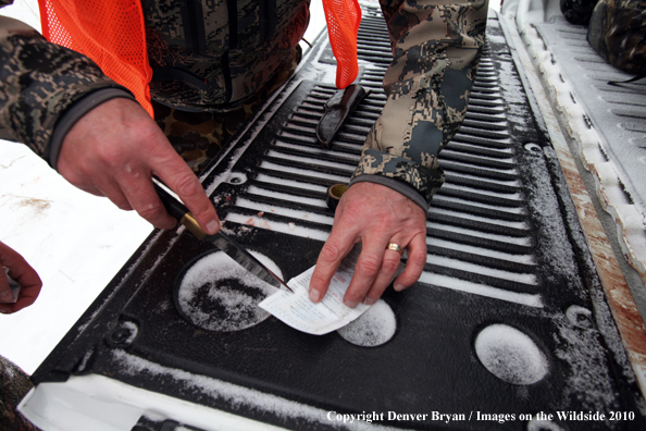 Father helps son get his white-tail deer tag ready