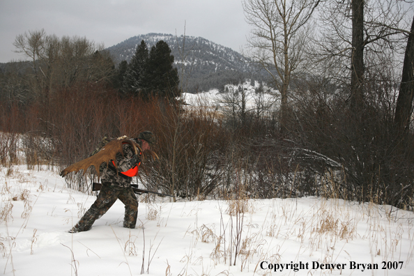 Moose hunter in field