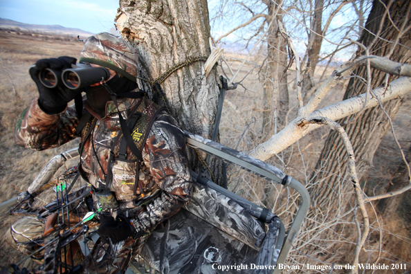 Bowhunter scouting from tree stand. 