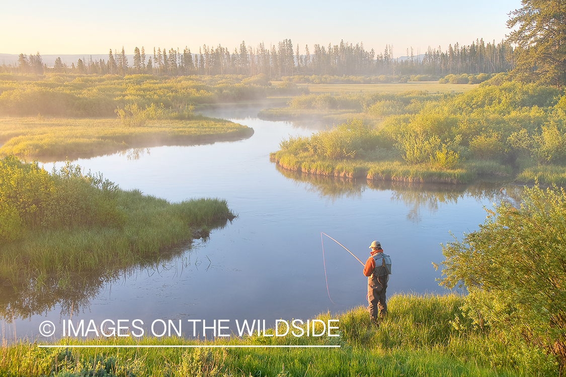 Flyfisherman on Duck Creek, MT.