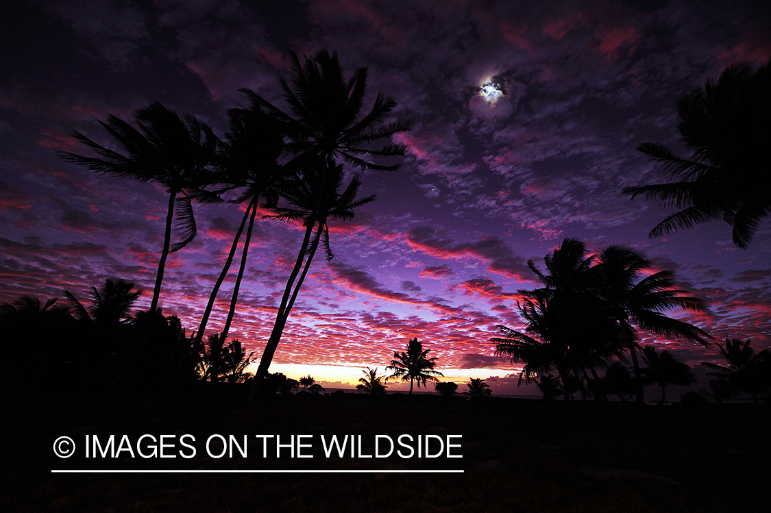 Sunset on Christmas Island.