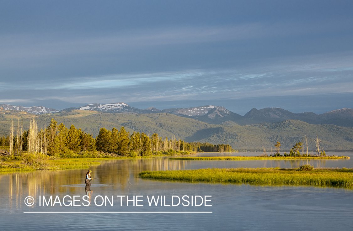 Flyfishing Hebgen Lake, Montana.