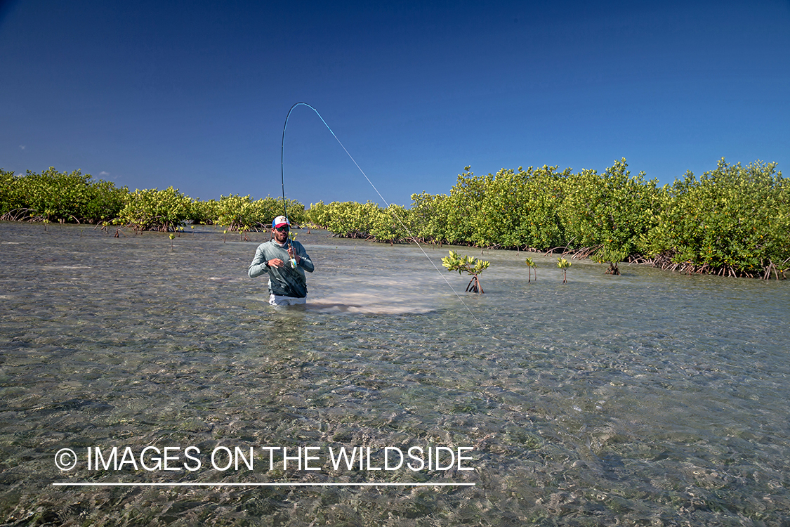 Flyfisherman fighting with bonefish.