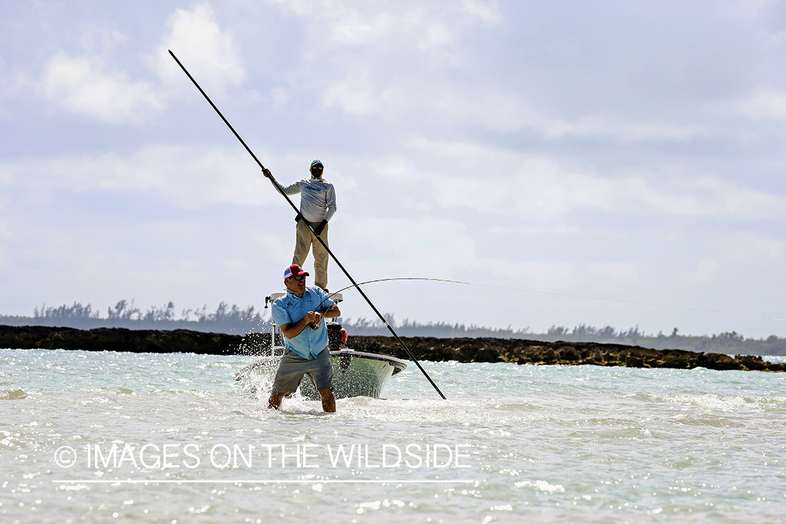 Flyfisherman fighting bonefish.