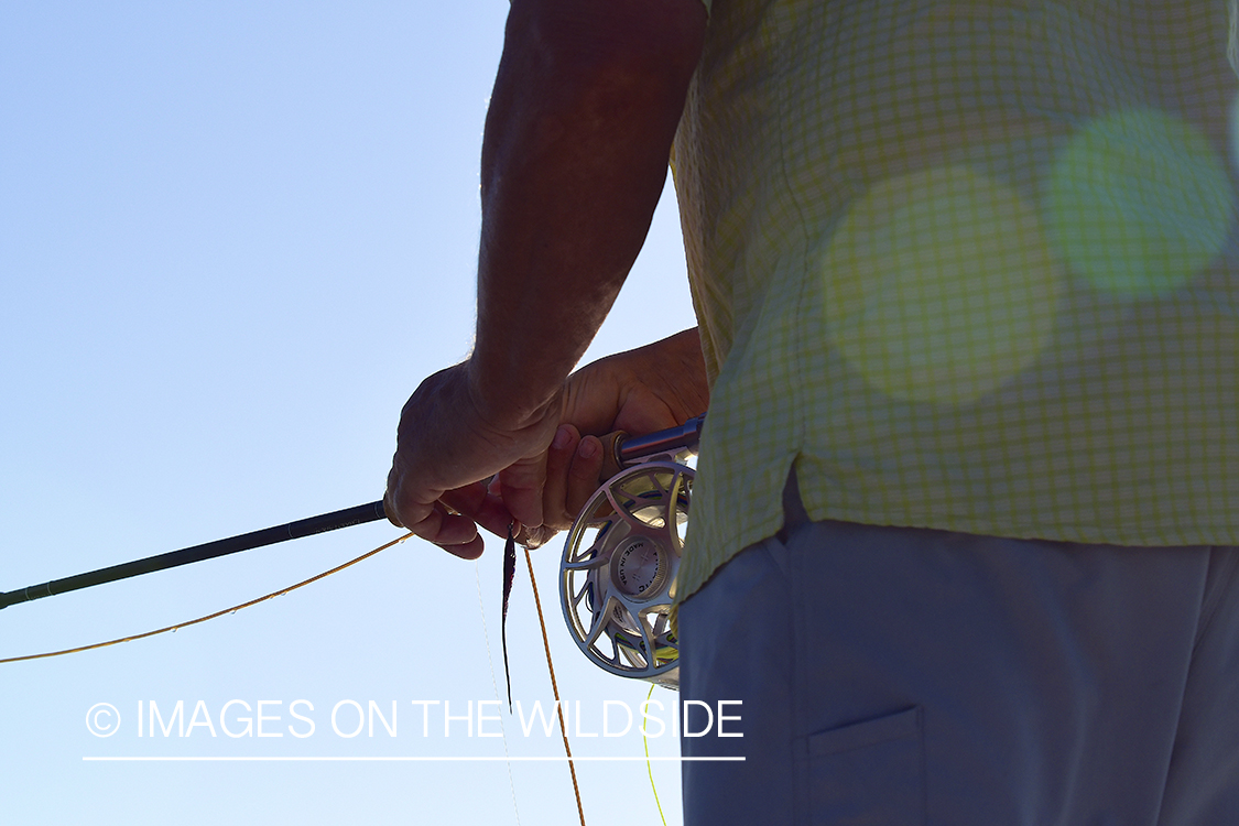 Ready with fly on flats of Florida Keys.