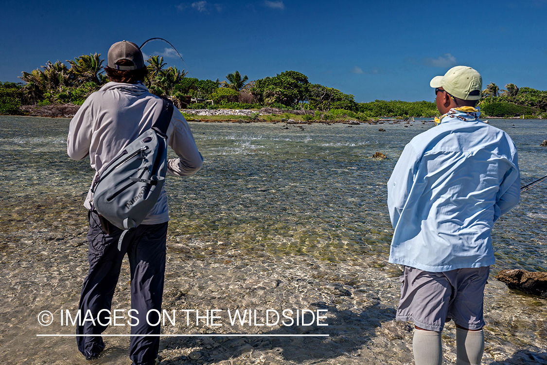 Saltwater flyfishermen fighting bonefish on flats.