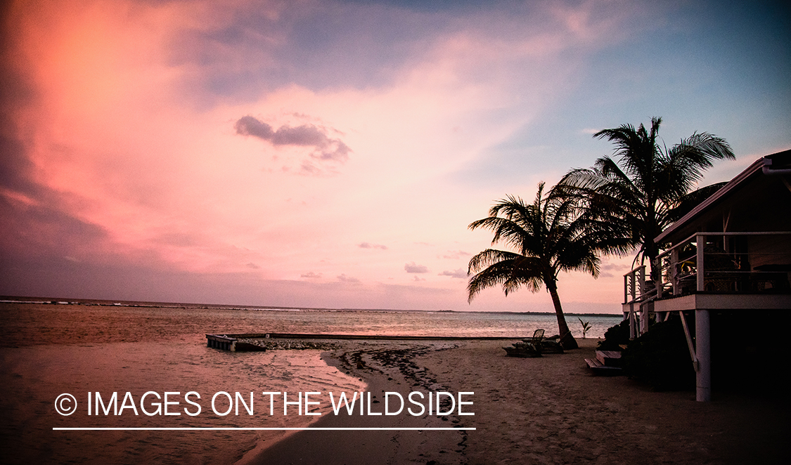 Sunset on beach in Belize.