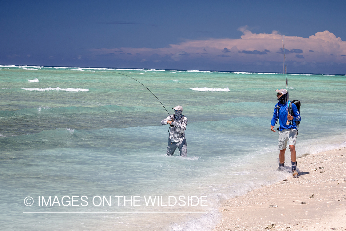 Flyfisherman on St. Brandon's Atoll flats, Indian Ocean.