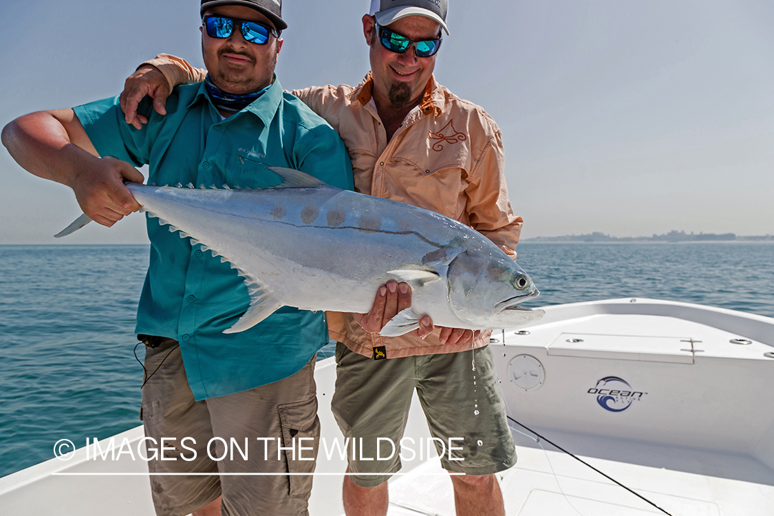 Flyfishing for queenfish off the coast of Dubai, UAE.