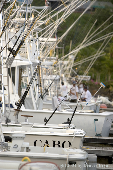 Deep sea fishing charter boats in marina.