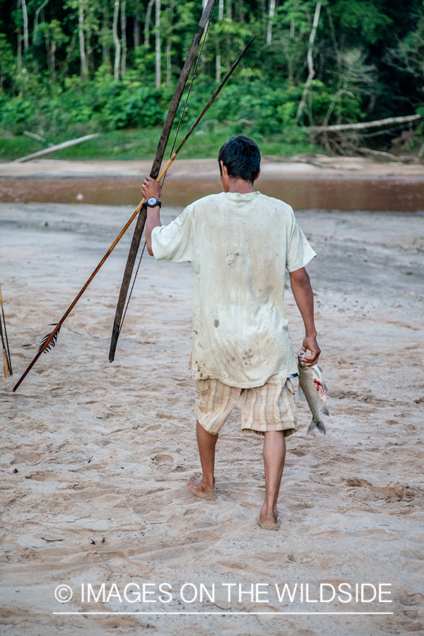 Flyfishing for Golden Dorado in Bolivia. (bow fishing)