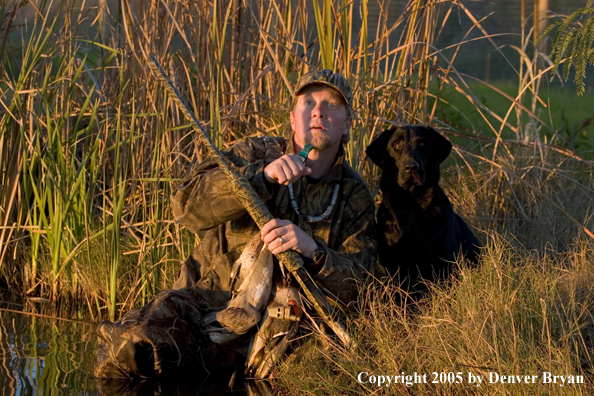 Duck hunter and Labrador Retriever looking for ducks from edge of marsh.