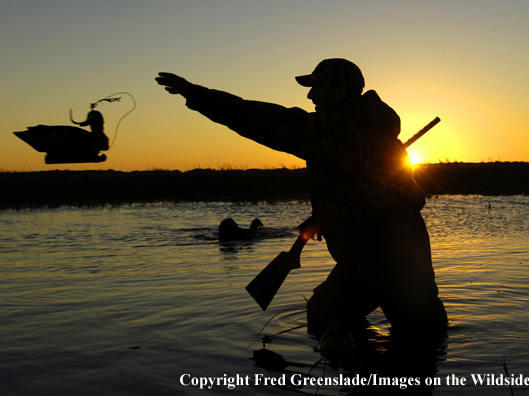 Waterfowl hunter setting decoys