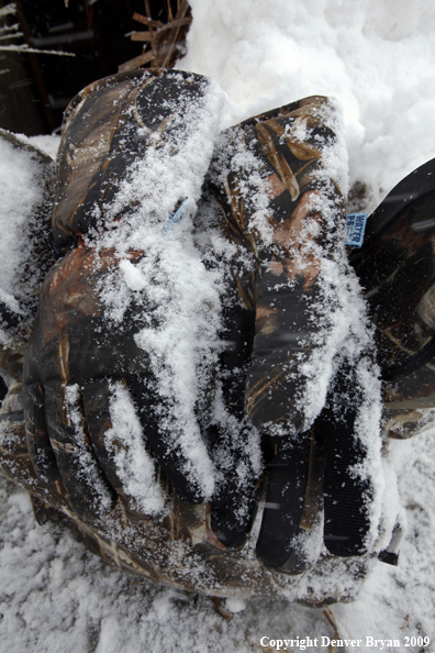 Hunter's gloves laying in the snow.