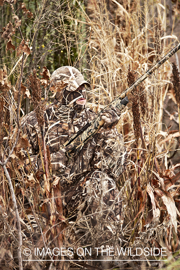 Waterfowl hunter camouflaged in wetlands.