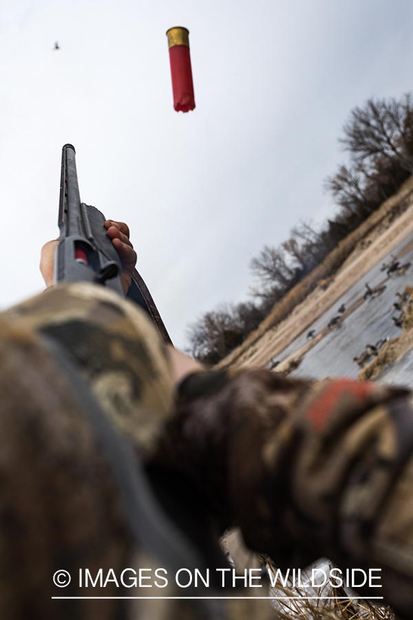 Waterfowl hunting