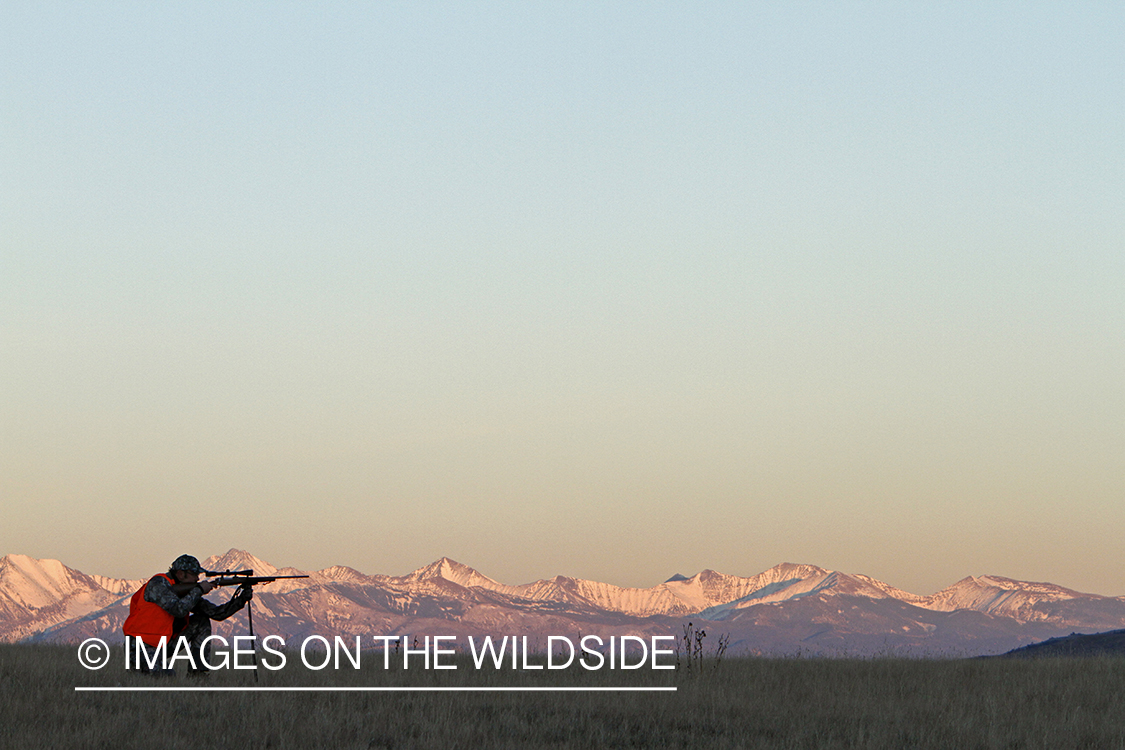 Big game hunter taking aim in field. 